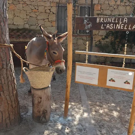 منتزه العطل Village El-bahira سان فيتو لو كابو